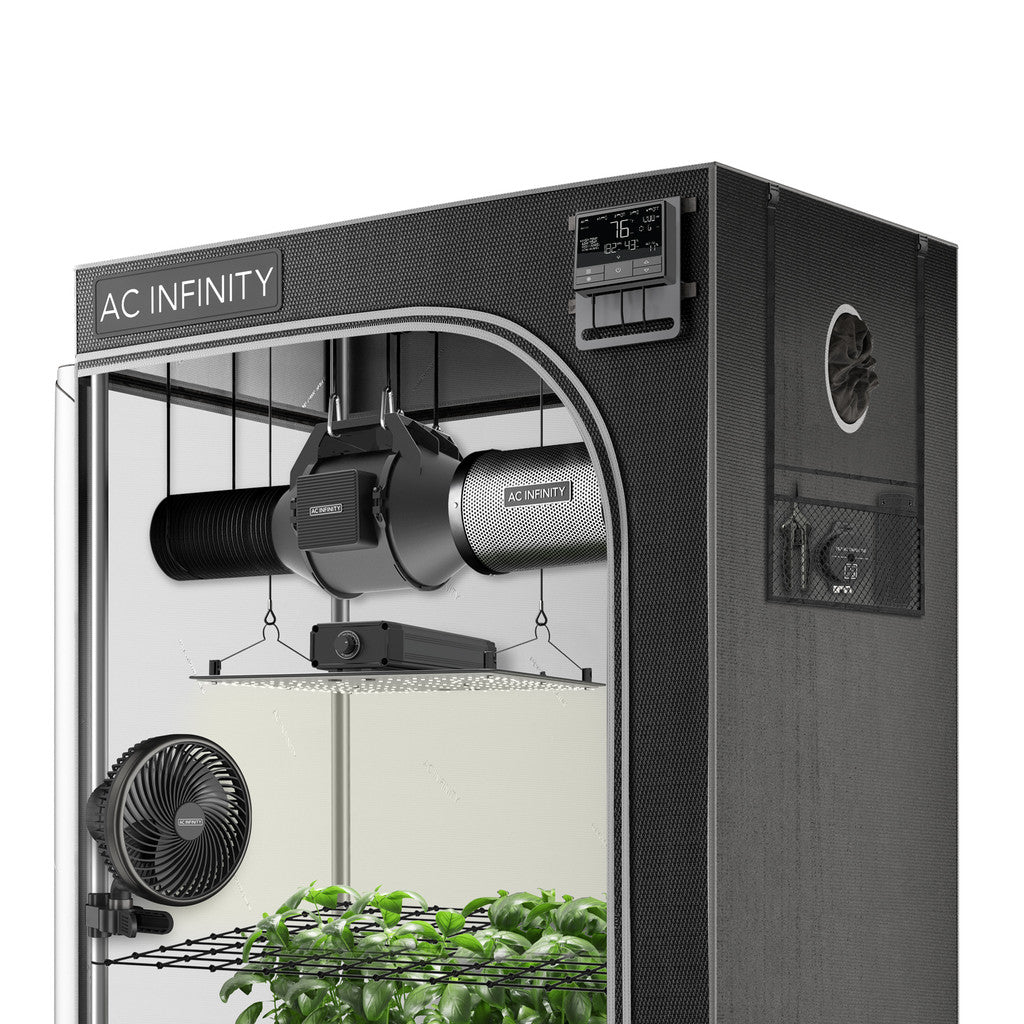 Do You Need a Grow Tent? - Green Spring Hydroponics