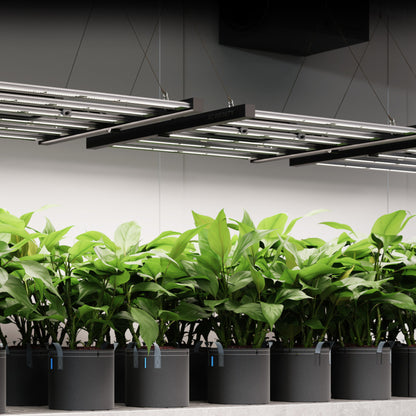 IONFRAME EVO6, Samsung LM301H EVO Commercial LED Grow Light