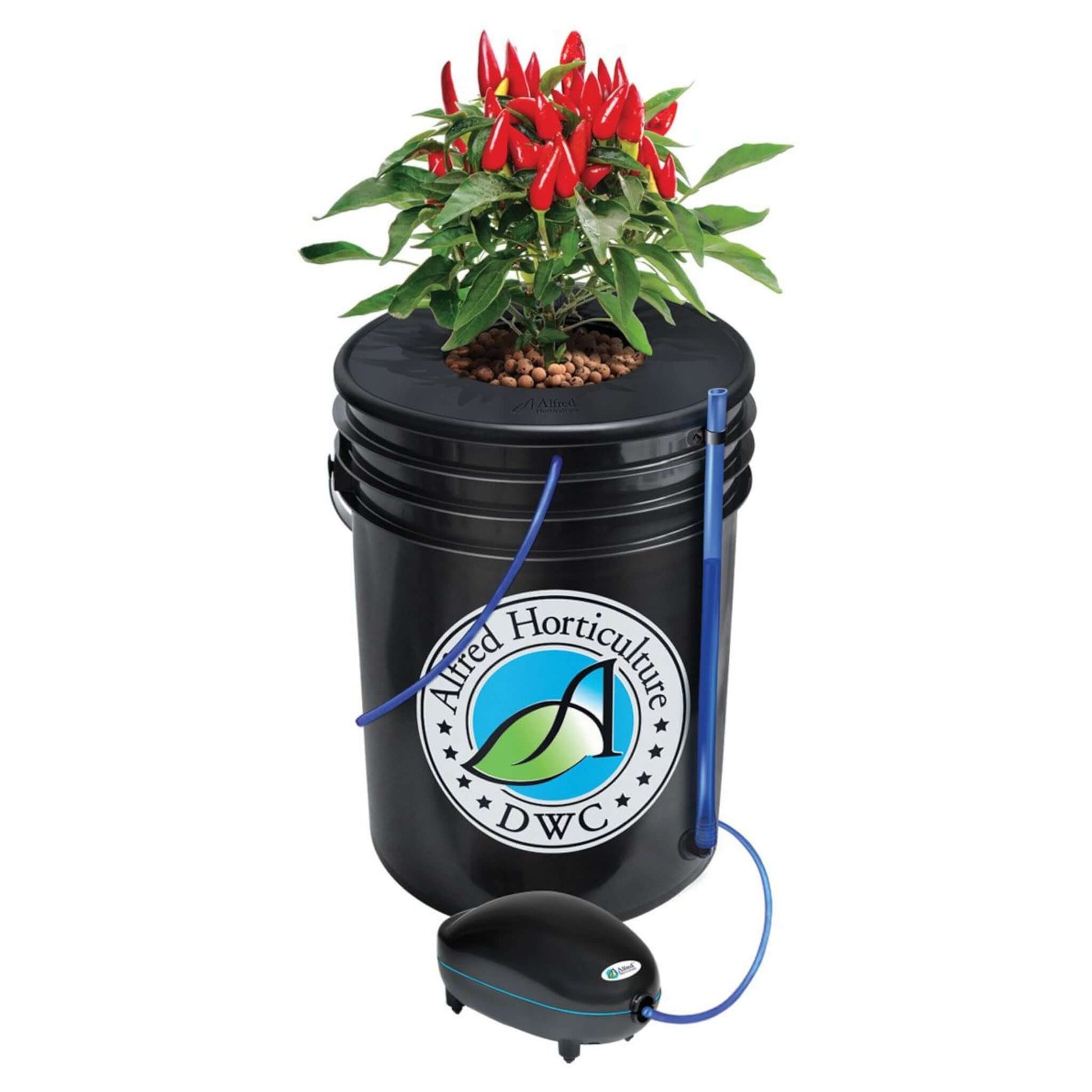 Deep Water Culture - Alfred DWC 1-Plant System