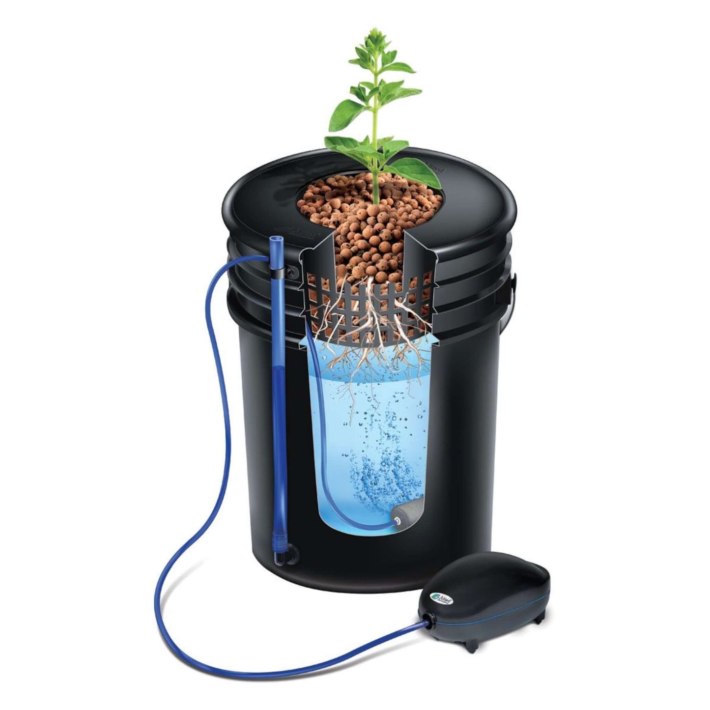 Deep Water Culture - Alfred DWC 1-Plant System