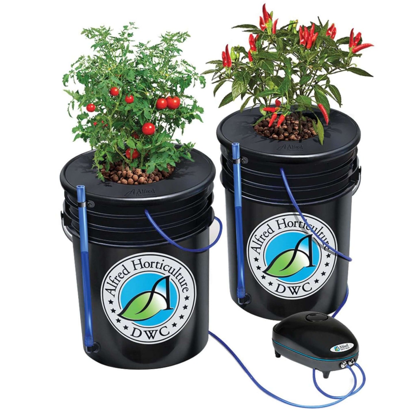 Deep Water Culture - Alfred DWC 2-Plant System