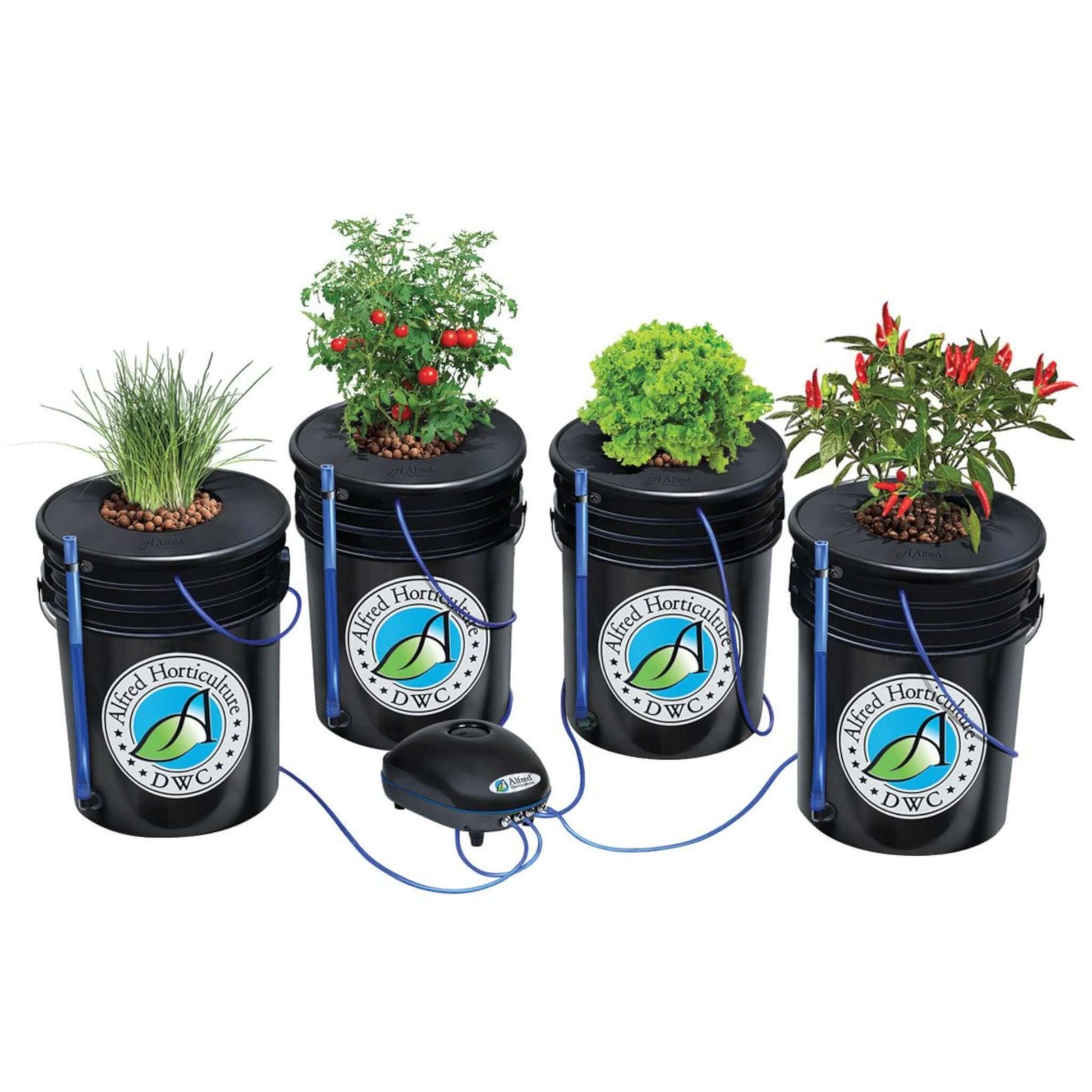 best plants for dwc hydroponics Alfred DWC 4-Plant System