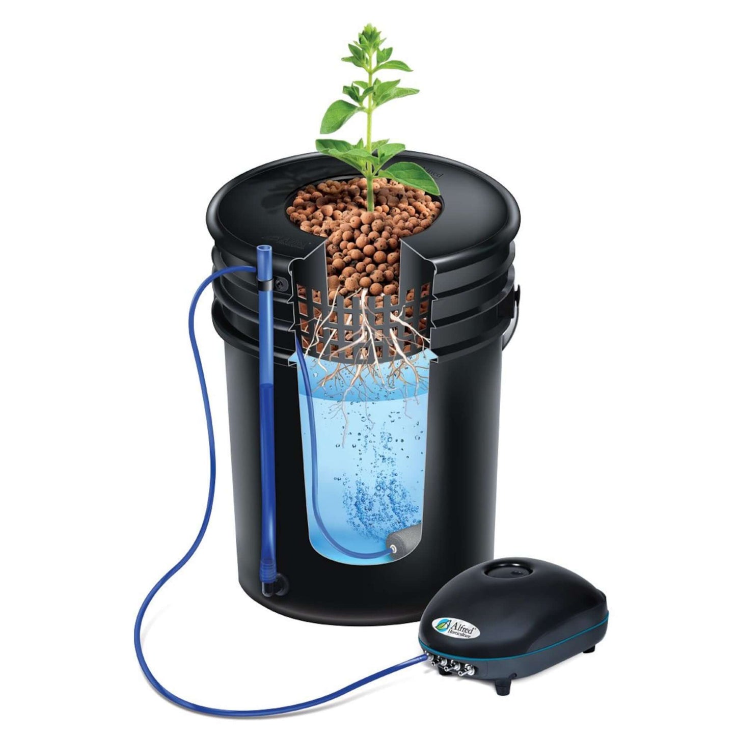 Deep Water Culture - Alfred DWC 4-Plant System