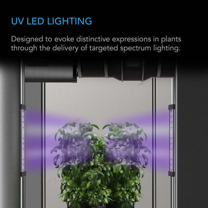 Lighting - IONBEAM U2, Targeted Spectrum UV LED Grow Light Bars, 2-Bar Kit