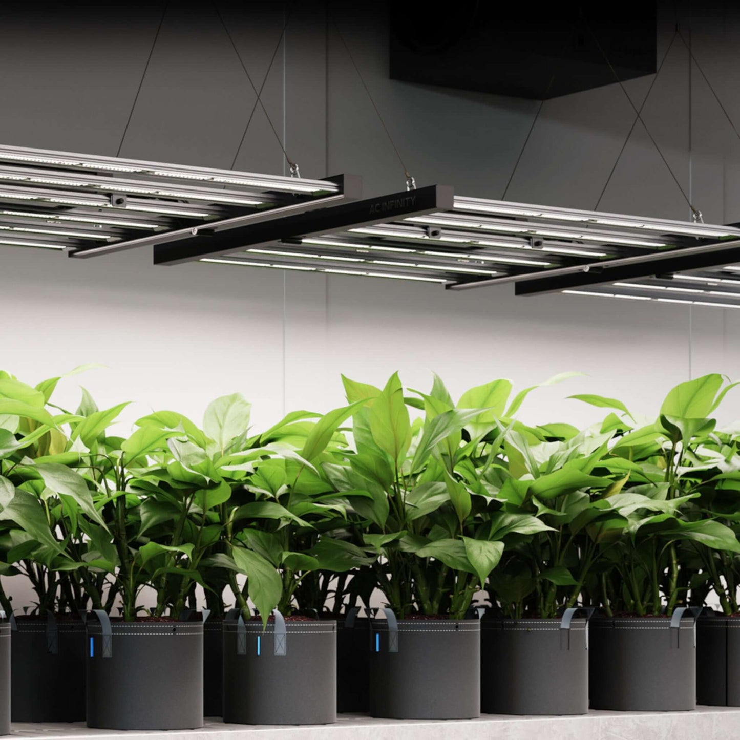 Lighting - IONFRAME EVO4, Samsung LM301H EVO Commercial LED Grow Light